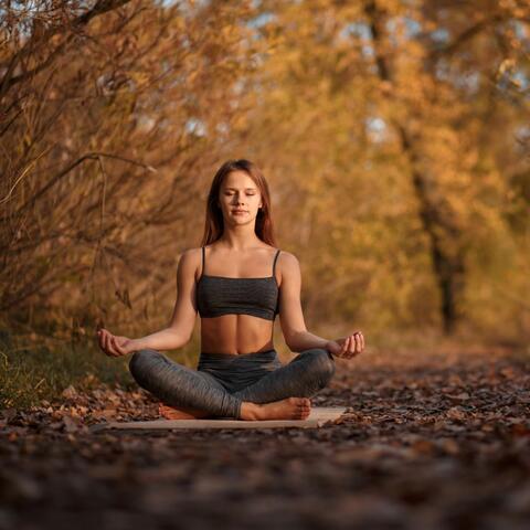 Lofi Meditation Flow for Clarity