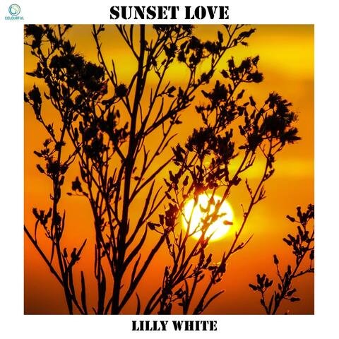 Sunset Love