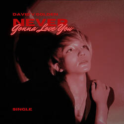 never gonna love you