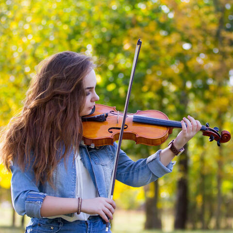 Harmonic Hammock: Music For Leisurely Relaxation