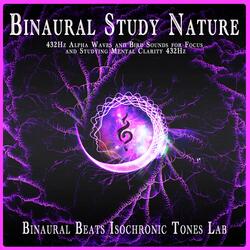 Alpha Brain Waves for Learning