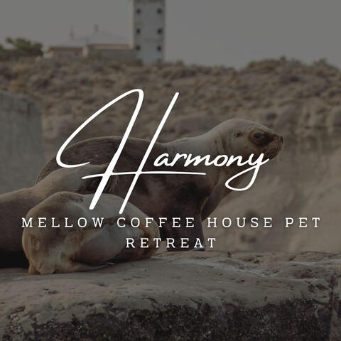 Paws & Jazz Serenity: Coffee Lounge Harmony