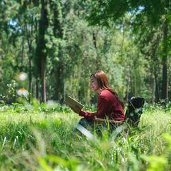 Tranquil Melodies Drift By