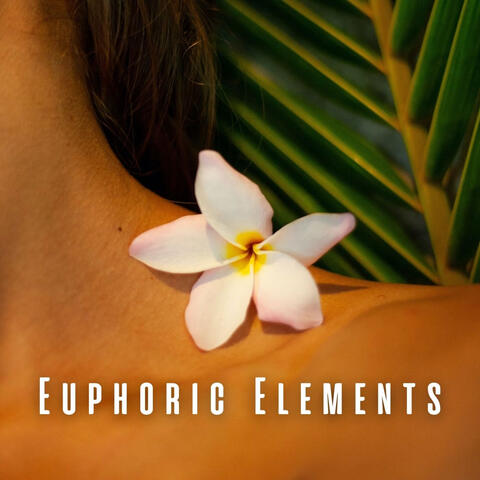 Euphoric Elements: Meditation Music for Spa Experience