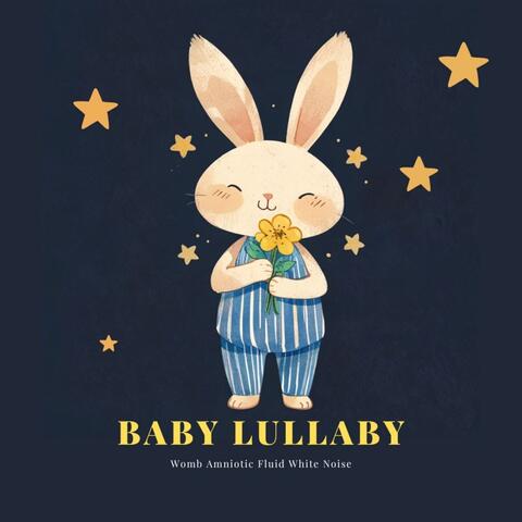 Baby Lullaby Womb Amniotic Fluid White Noise