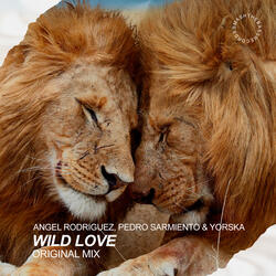 Wild Love