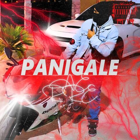 PANIGALE