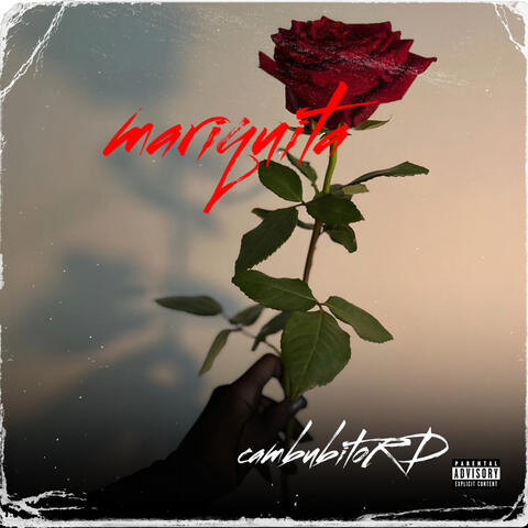 mariquita