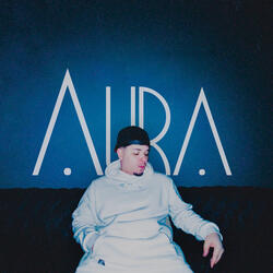 A DAMA E O VAGABUNDO