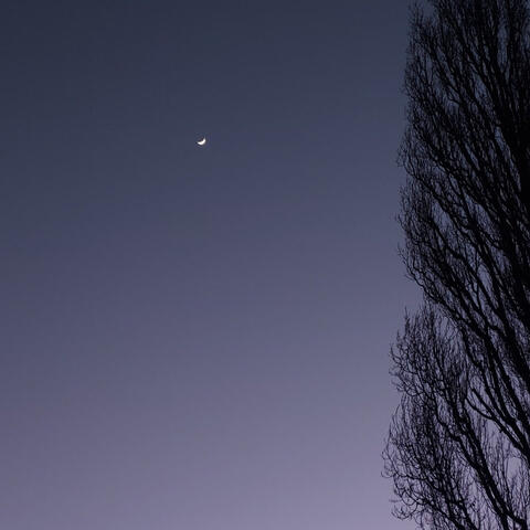 And then God smiled at me through her eyes