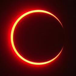 I Wanna Tell You Everything