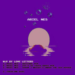ARIEL NES