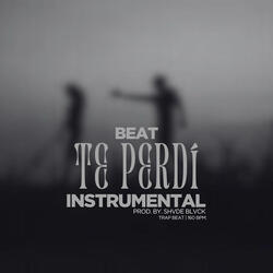 Te Perdí