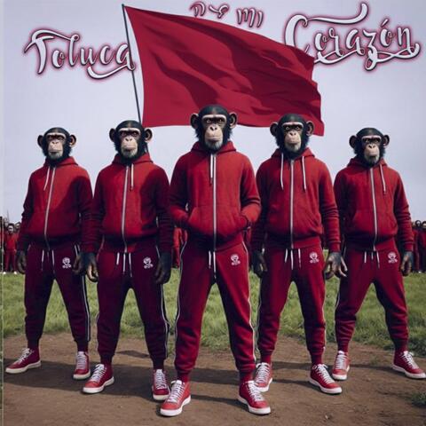 Toluca De Mi Corazón