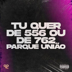 TU QUER DE 556 OU DE 762 PARQUE UNIÃO