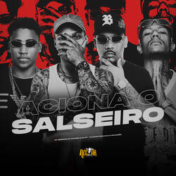 Aciona o Salseiro