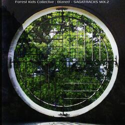 Looking Through the Lens