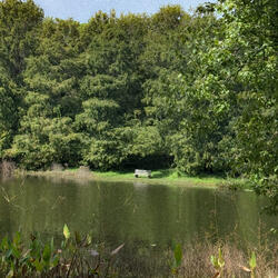 what we stay alive for