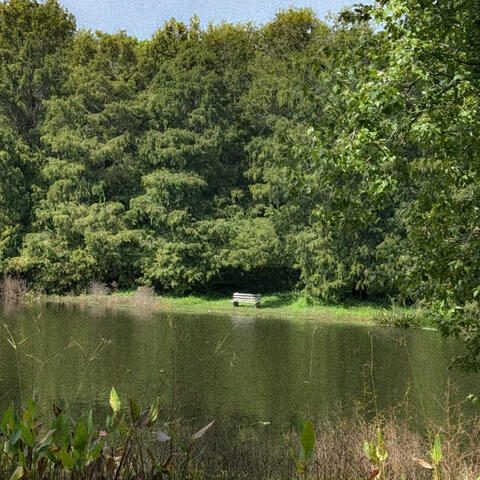 what we stay alive for