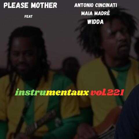 instrumentaux vol.221