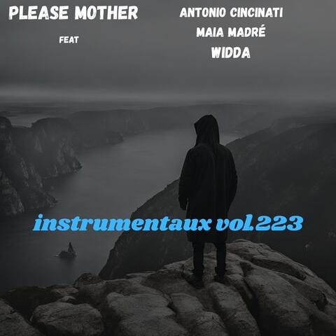 instrumentaux vol.223