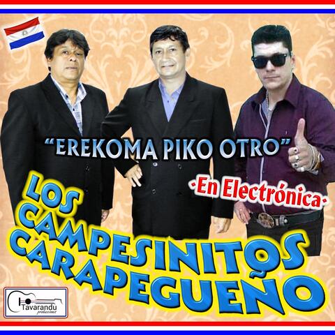 Erekoma Piko otro, En Electrónica