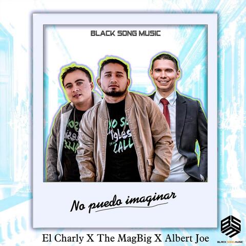No Puedo Imaginar
