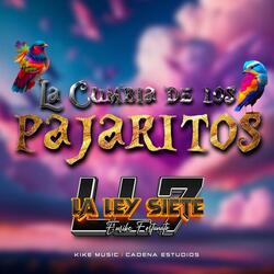 La Cumbia De Los Pajaritos