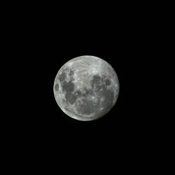 Que hago con esta ilusión?