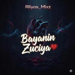 Bayanin Zuciya