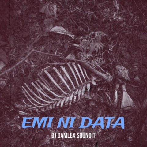 Emi Ni Data