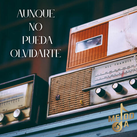 Aunque No Pueda Olvidarte