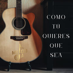 Como Tú Quieres que Sea
