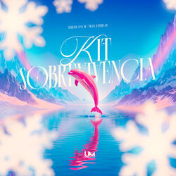 KIT DE SOBREVIVÊNCIA