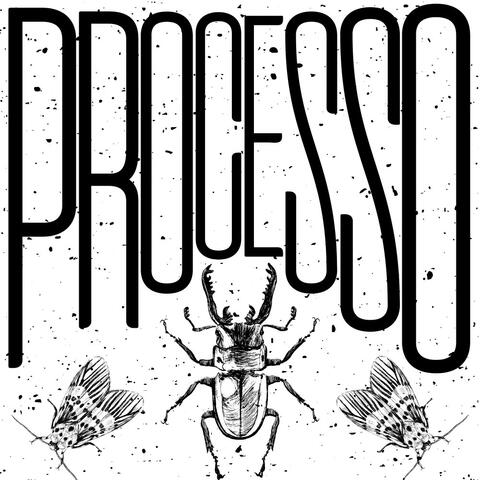 PROCESSO