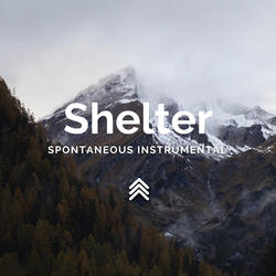 Shelter Spontaneous