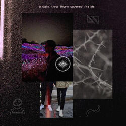 a walk thru thorn covered fields