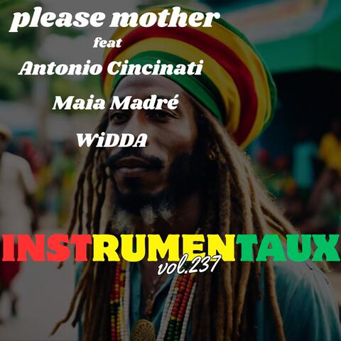 instrumentaux vol.237