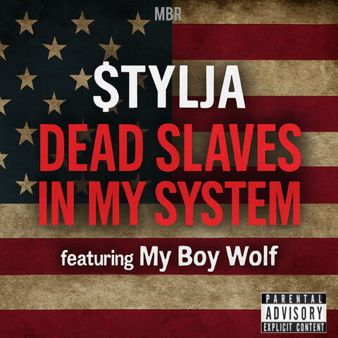 Dead Slaves in My System