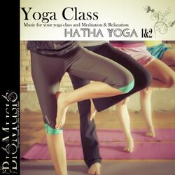 Hatha Yoga, Pt.1 - Dynamic Warm Up