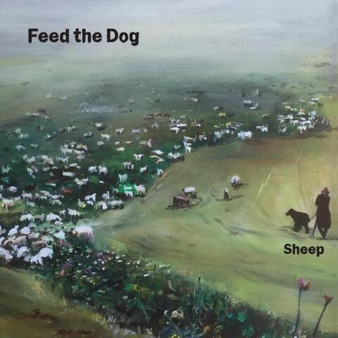 Sheep