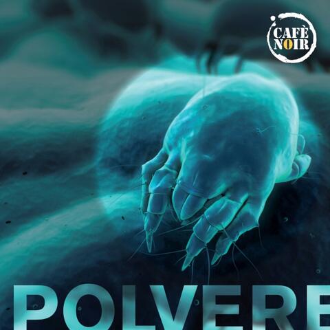 Polvere