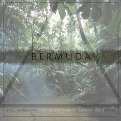 Say That You Love Me (feat. Da Rifleman)