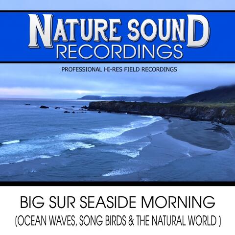 Big Sur Seaside Morning (Ocean Waves, Song Birds & The Natural World)