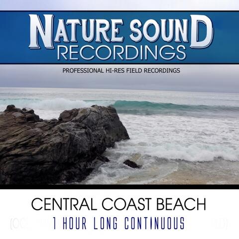 Central Coast Beach - 1 Hour Long Continuous