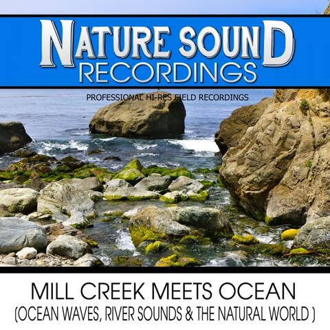 Mill Creek Meets Ocean (Ocean Waves, River Sounds & The Natural World)