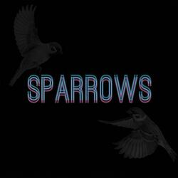 Sparrows