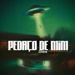 Pedaço de mim