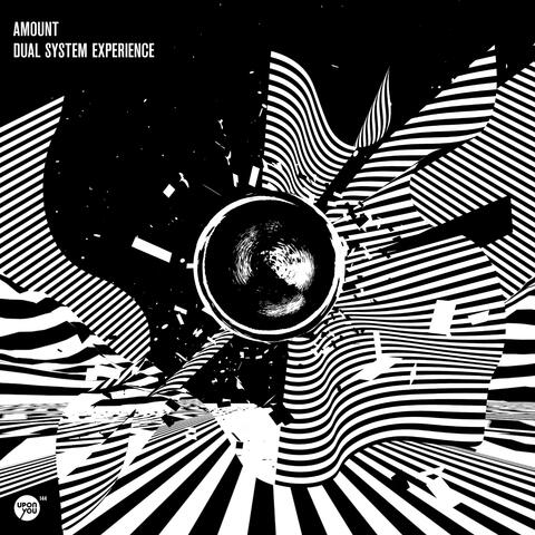 Dual System Experience