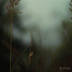 The Watergate Affair